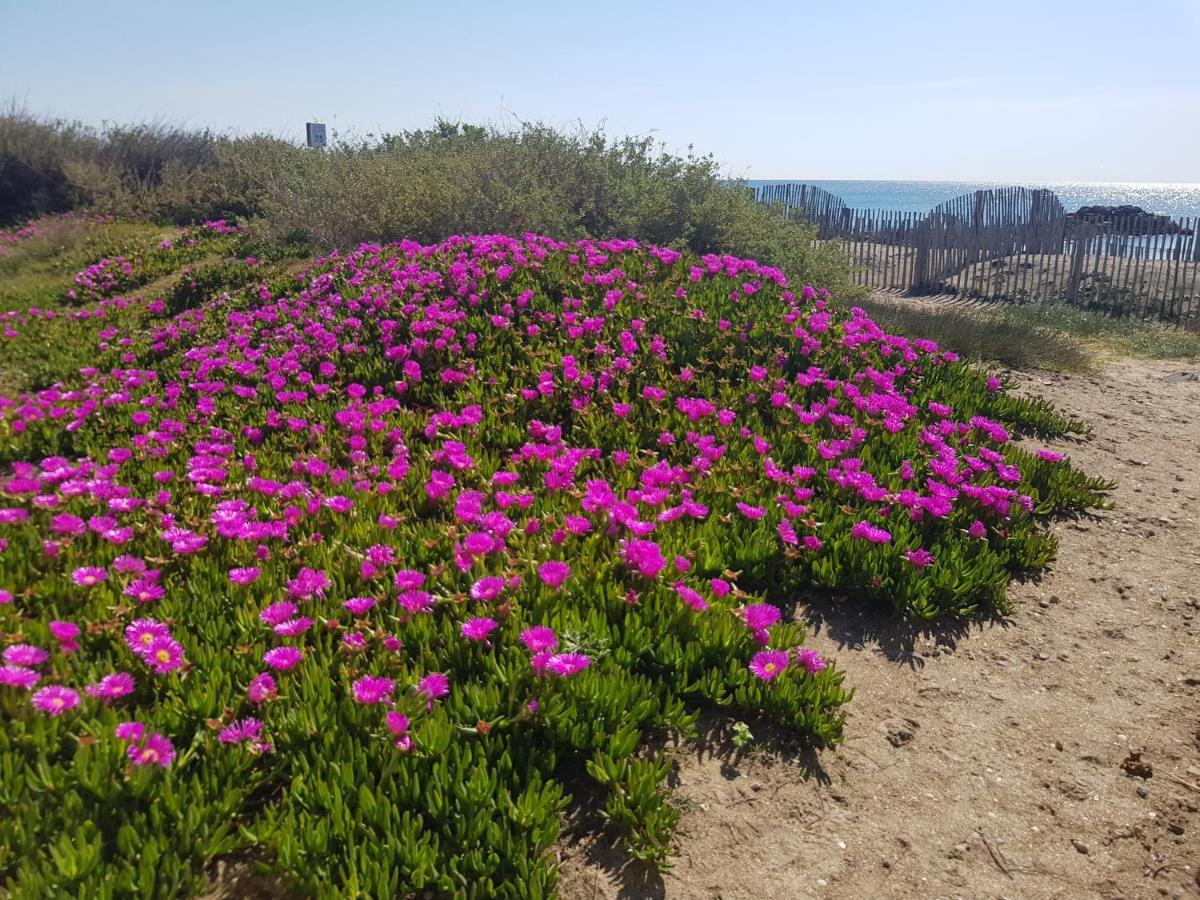 La Rose Des Sables, T2 A La Mer, Terrasse Et Garage Frontignan Exterior photo